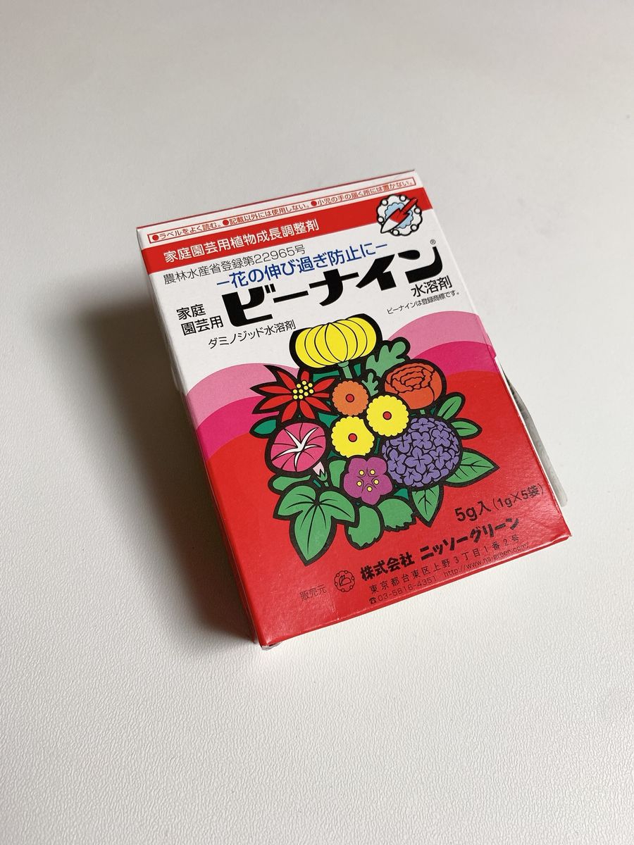 葉ボタン、タネから育ててみる❗️（一部、矮化剤使用アリ） 『ビーナイン』使用🧪