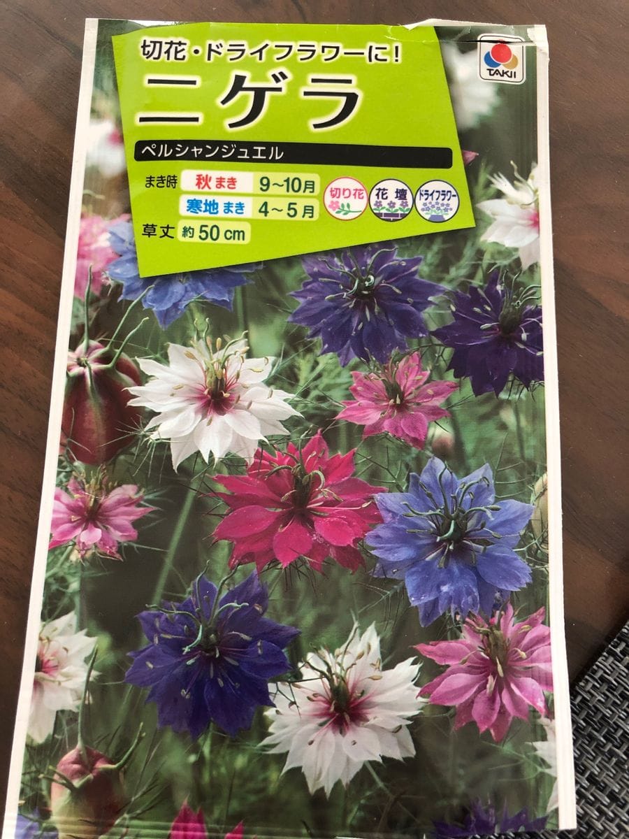 初めての花の種まきはニゲラ