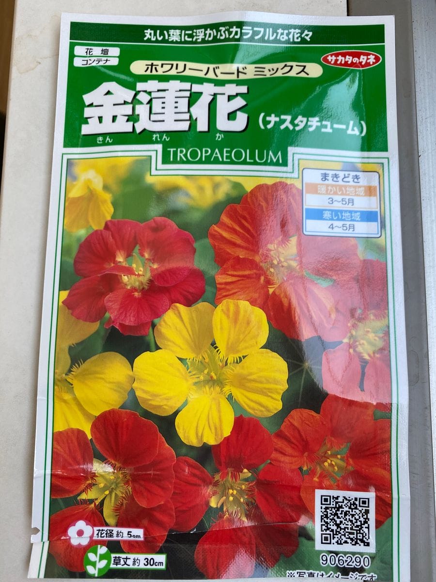 食べられる花　ナスターチウムを育てる！