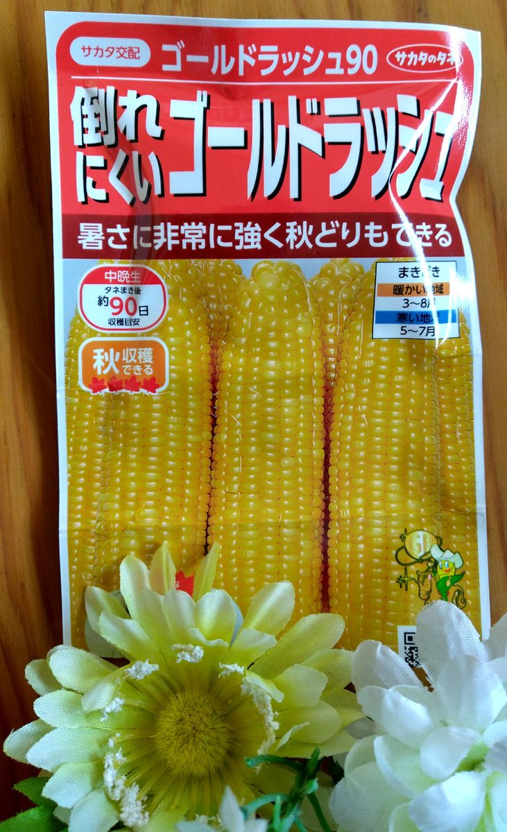 初挑戦!トウモロコシ🌽ゴールドラッシュ90*2021【終了】