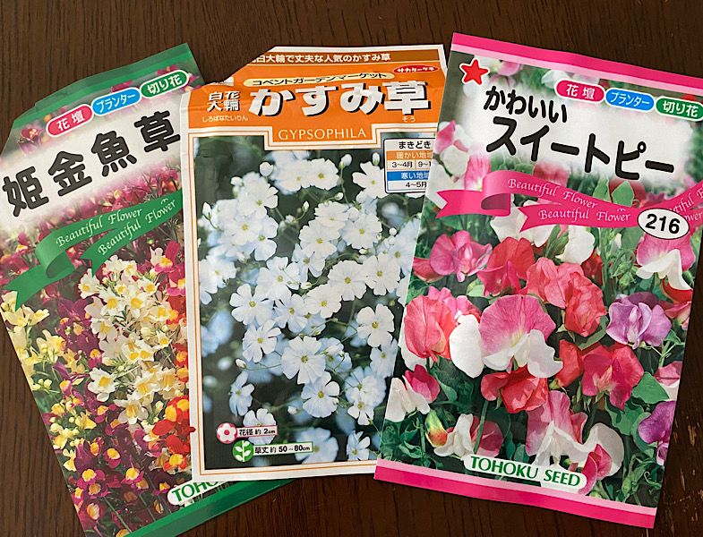 4年前に買った種でも花が咲くのかやってみる♪