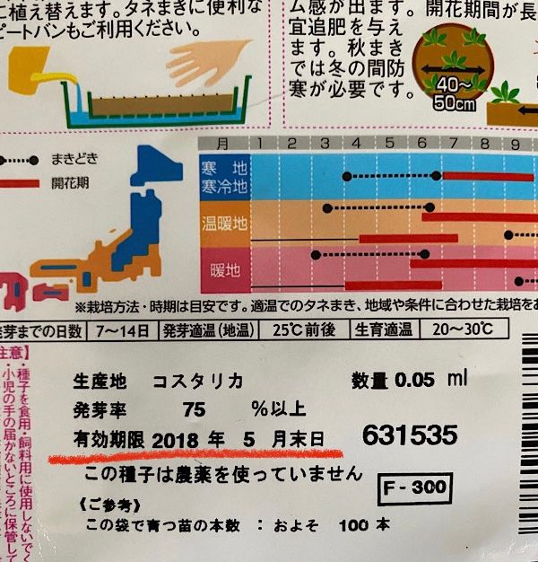 4年前のペチュニアの種で開花を目指す♪ ダメ元で