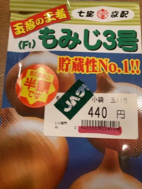 玉ねぎを畑で栽培 今年は種から