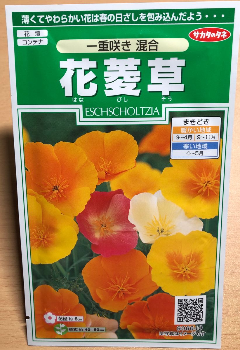 花菱草を種から水耕栽培