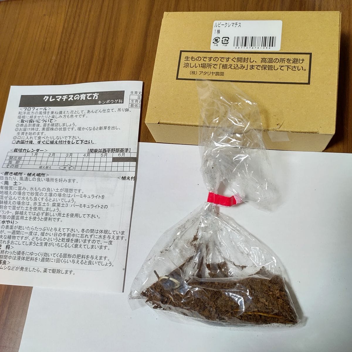 素掘り苗の「ルビークレマチス」を育てる 苗が届いた