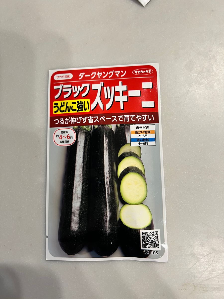 【終了】種からズッキーニ の栽培に挑戦 3/20