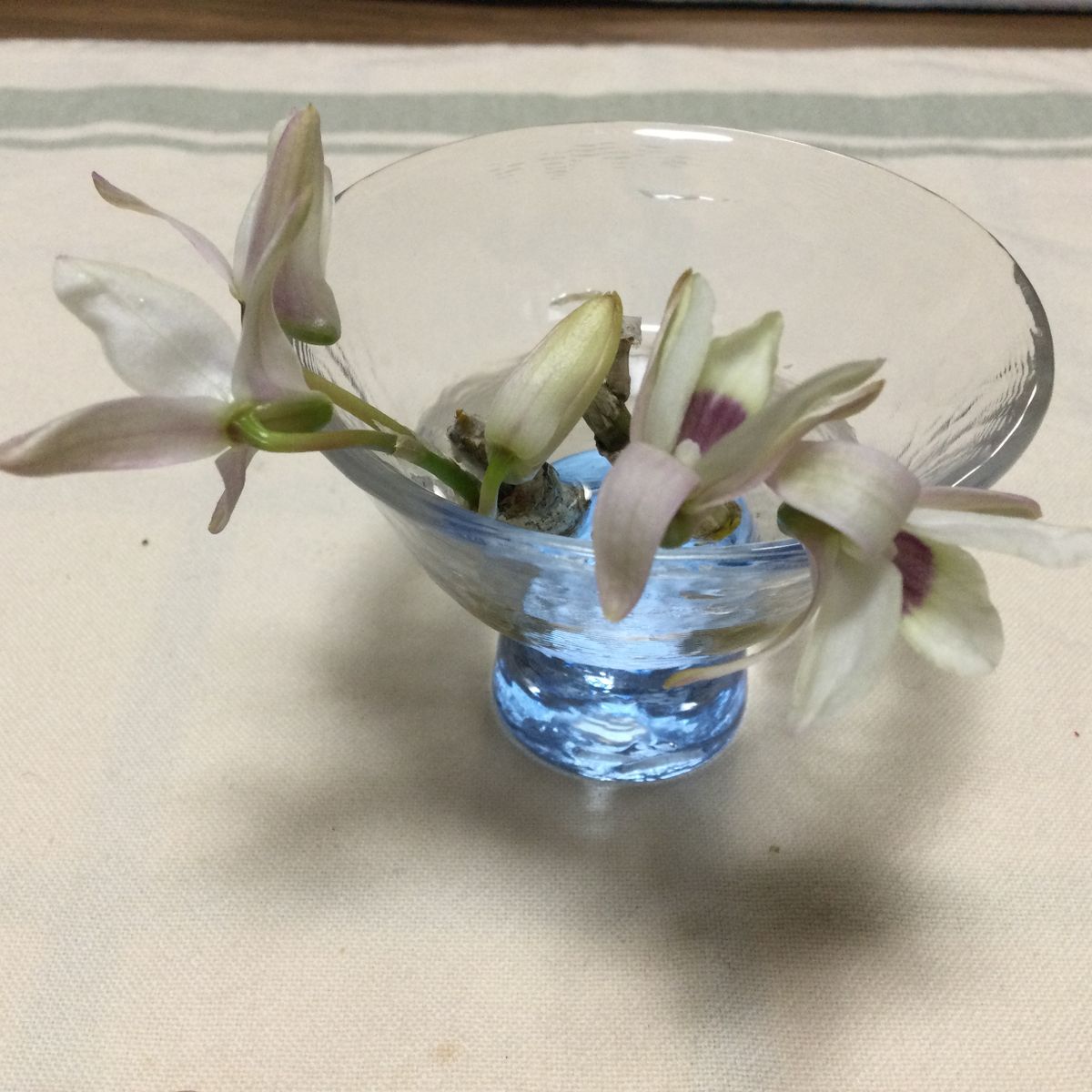 デンドロビウムの花を咲かせたい。 小さな花器で。