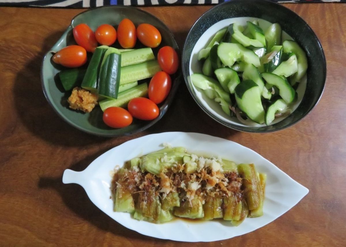 苗からトマトを植え育て収穫まで 🍅ミニトマトの収穫をして夕食に