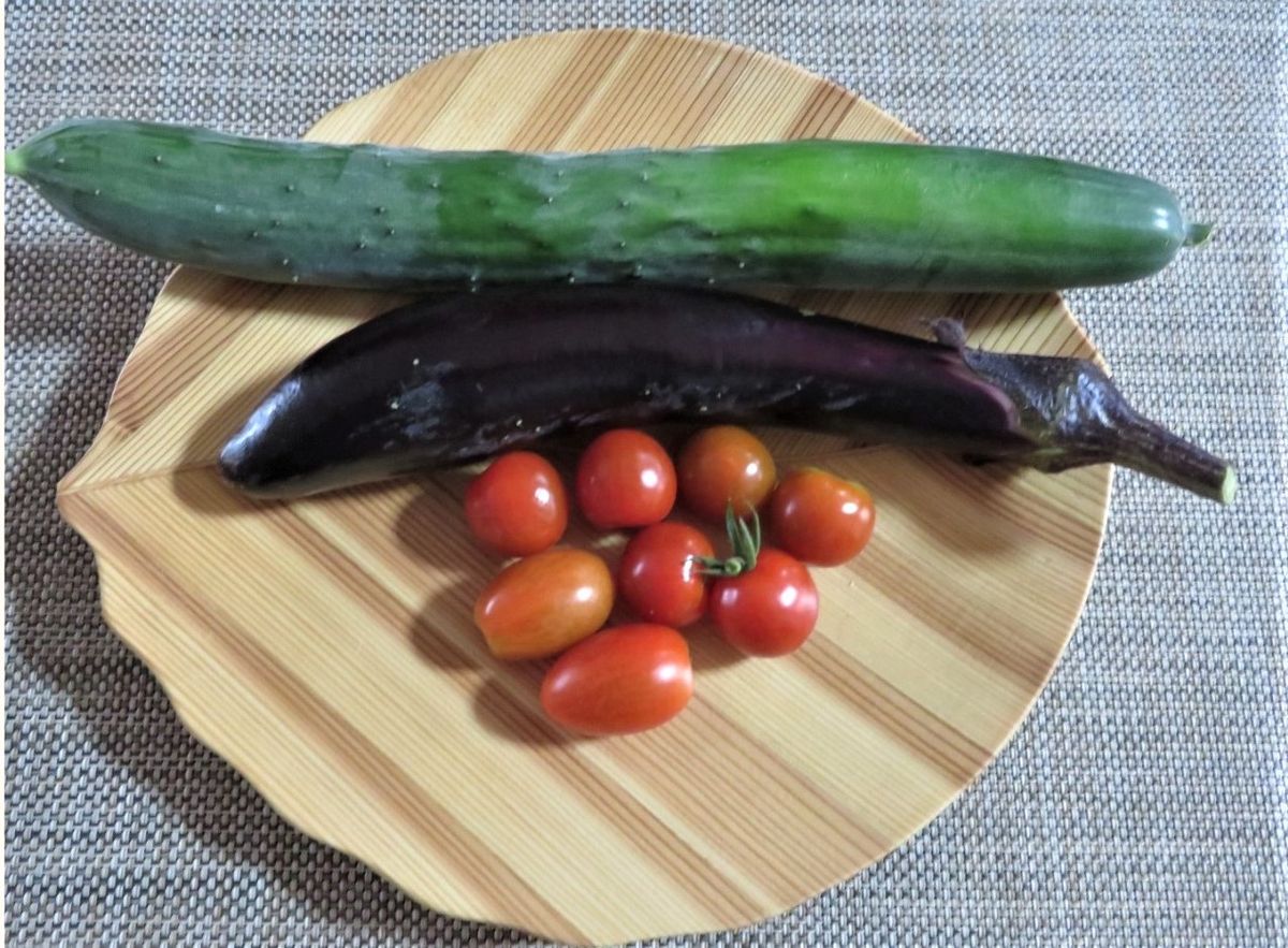 苗からトマトを植え育て収穫まで 収穫した🍅ミニトマト