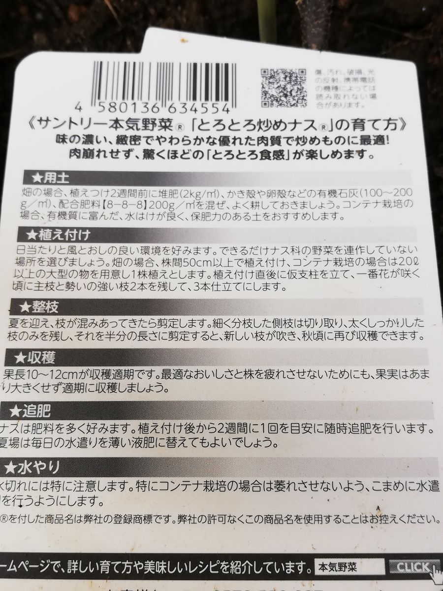 2022サントリー とろとろ炒めなす 0504苗購入