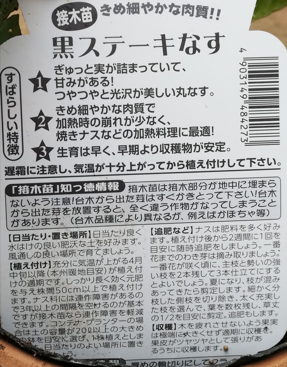 2022ステーキ茄子(白・黒) 黒の裏ラベル