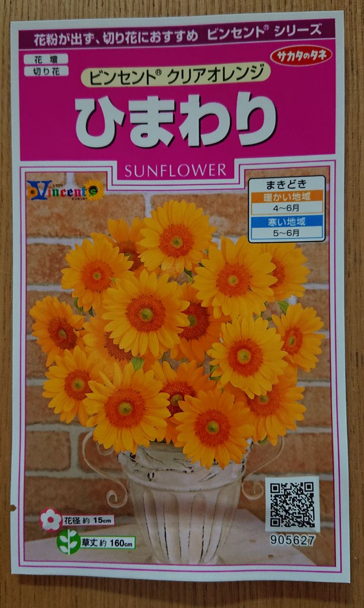 切り花にもなるひまわり🌻