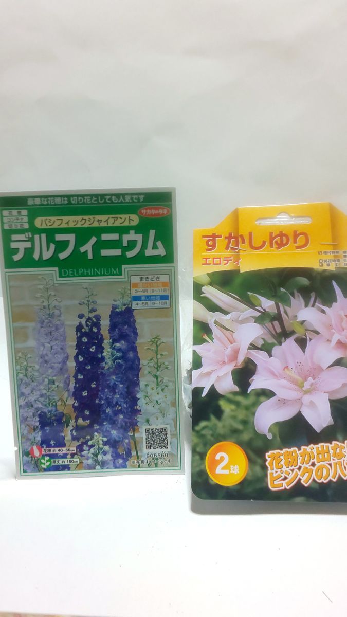 ピンクの百合が欲しいから、八重咲きのスカシユリを育ててみる。2022～2023(終了) 2022/09/09 取り敢えず百合根は確保しました。😅