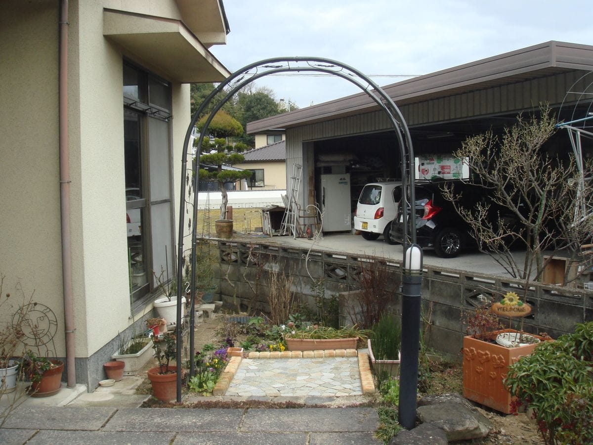 桜　須磨浦普賢像 当分植木鉢かな