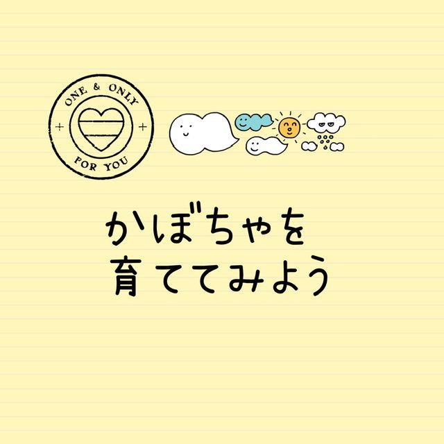 【終了】はじめてのかぼちゃ 苗との出会い