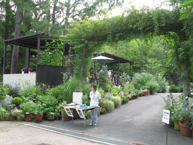 みどりの体感ドーム展示中 7月23日（ちょっと飾り）