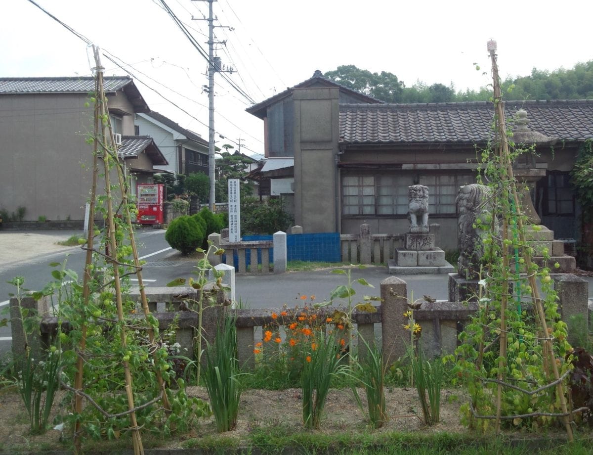 フウセンカズラの塔をつくる 次々と緑の風船