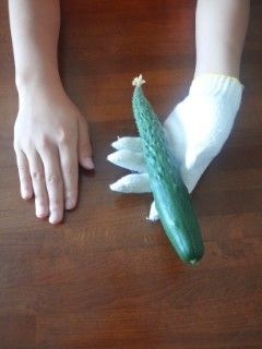 キュウリ　初めて野菜に挑戦 収穫