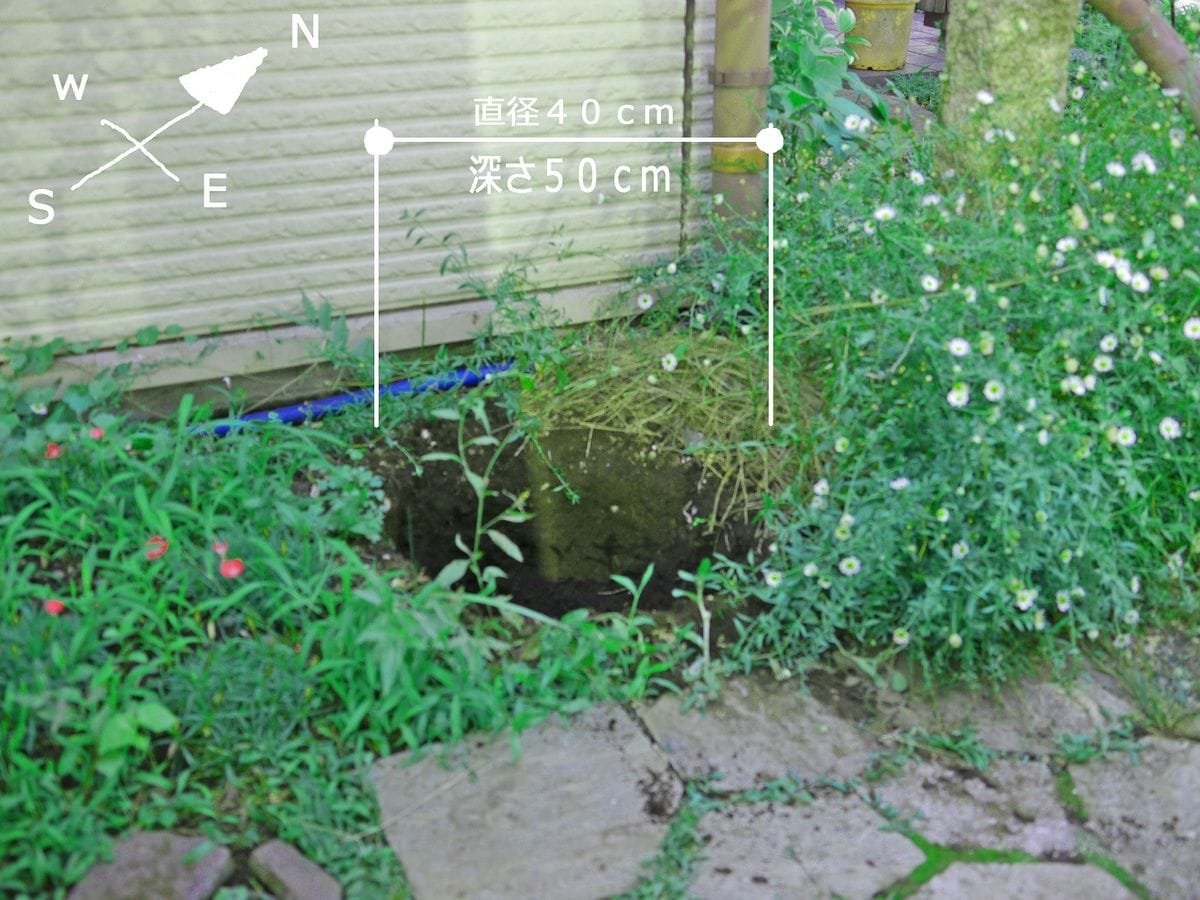 咲け！力強く！ゴージャスに！　地植え編