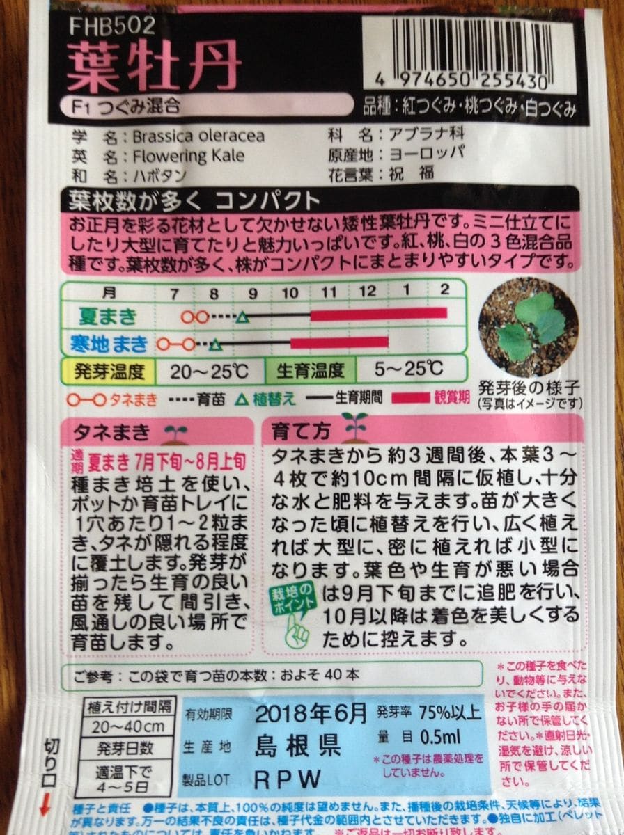 2017 葉牡丹 つぐみ混合 土、間違えた…