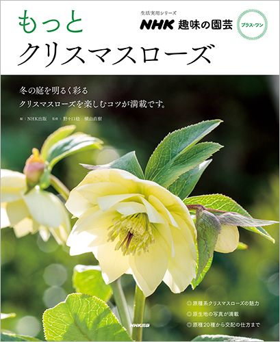 より上級者向けのクリスマスローズ栽培本決定版！『もっとクリスマスローズ』1月18日発売