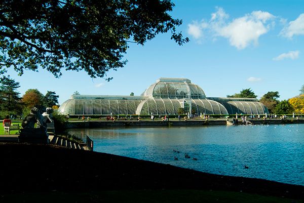 キューガーデンがやって来た！「世界遺産キュー王立植物園所蔵 イングリッシュ・ガーデン 英国に集う花々」展