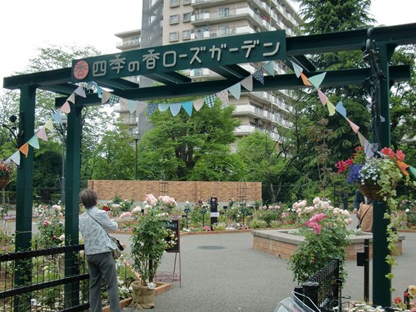 「バラ入門」に最適なバラ園が誕生!!～練馬・四季の香ローズガーデン