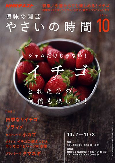 イチゴ、とれた分の何倍も楽しむ！/ソラマメ/セルトレイでカブ畑『やさいの時間』最新号(10月号)