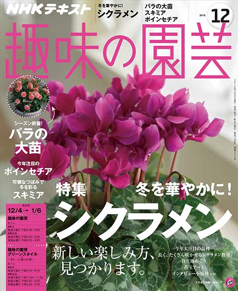 冬を華やかに！シクラメン/スキミア/バラの大苗/ポインセチア『趣味の園芸』最新号(12月号)