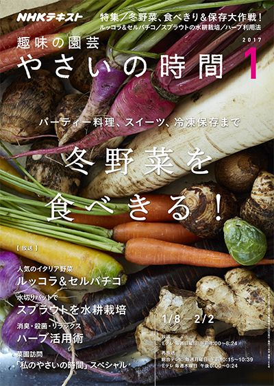 冬野菜 あの手この手で食べきる！/ルッコラ＆セルバチコ/スプラウト『やさいの時間』最新号(1月号)