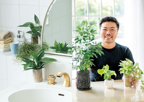 9月のグリーンスタイルは観葉植物 9月1日 金 あさイチ に熱帯植物栽培家の杉山拓巳さんが登場 みんなの趣味の園芸
