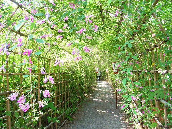 向島百花園で9/16から「萩まつり」開催～下町情緒を味わいながら深まりゆく秋を感じよう