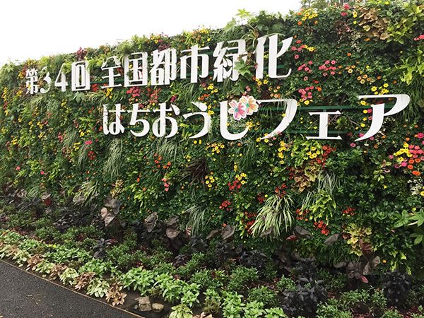 9月16日（土）から全国都市緑化はちおうじフェア開催～夏秋花壇の参考になる「千人同心花壇」