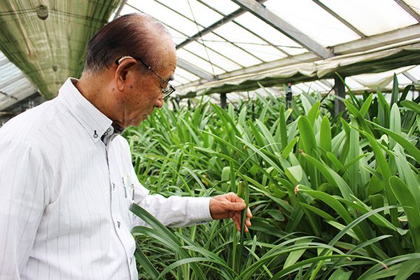 育種を手がけて60年。小森谷 慧さんに球根植物について聞いてみた！＜前編＞『趣味の園芸』10月号こぼれ話