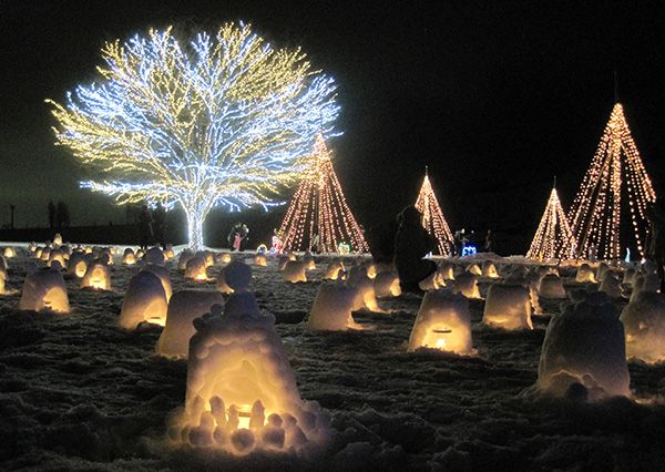 国営越後丘陵公園の「ウインターイルミネーション」、12/1は初開催の「長岡花火ウインターファンタジー」も