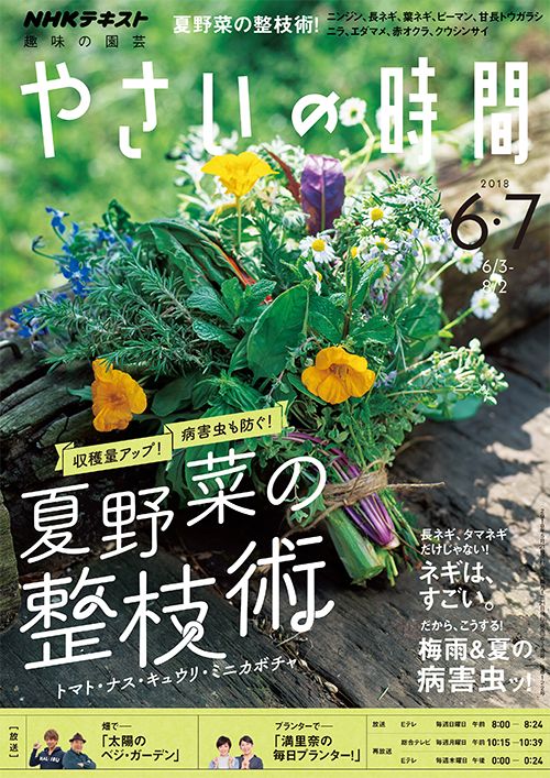 収穫量アップ！ 病害虫も防ぐ！夏野菜の整枝術『やさいの時間』6・7月号