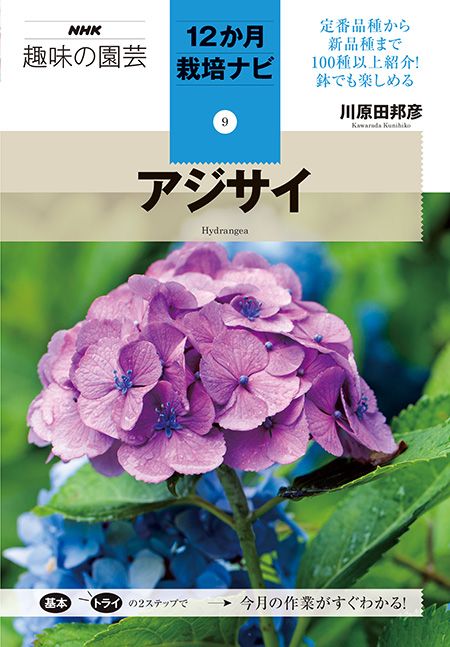 人気シリーズ『12か月栽培ナビ⑨ アジサイ』発売記念特別インタビュー！