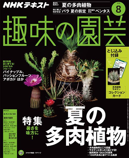 夏の多肉植物/バラ 夏の剪定/ペンタス/トロピカルフルーツ/多肉植物・サボテンコレクションカード/『趣味の園芸』8月号