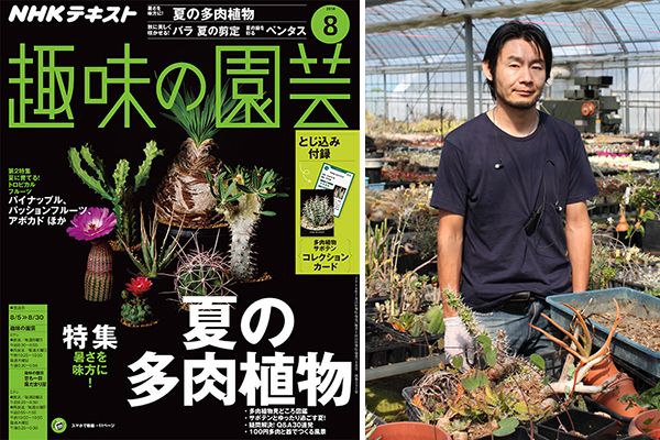 多肉植物の人気は日本だけじゃない？！長田研さんに多肉植物・サボテンについて聞いてみた！＜前編＞趣味の園芸8月号こぼれ話