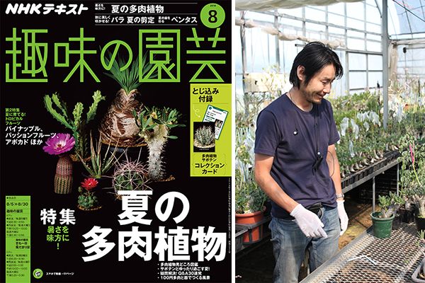 多肉植物の人気は日本だけじゃない？！長田研さんに多肉植物・サボテンについて聞いてみた！＜後編＞趣味の園芸8月号こぼれ話