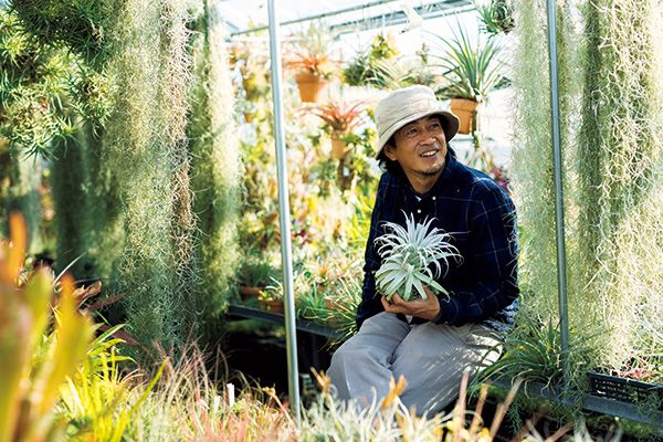 ティランジア、ケープバルブのエキスパート、藤川史雄さんから直接植物の話を聞けるイベント