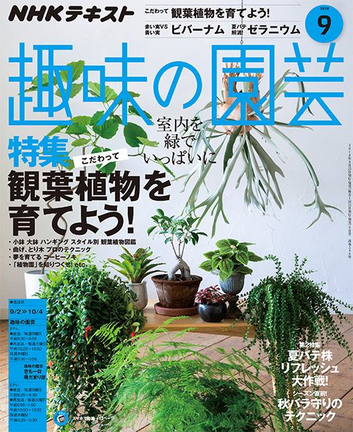 こだわって 観葉植物を育てよう！/ビバーナム/夏バテ株 リフレッシュ大作戦！/ゼラニウム/『趣味の園芸』9月号