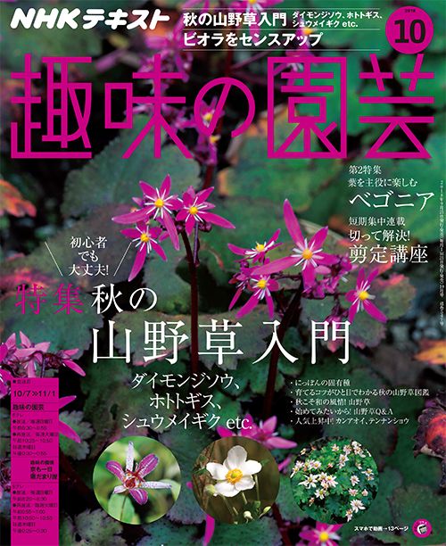 秋の山野草入門/カンアオイ/ベゴニア/ビオラ/剪定講座ほか『趣味の園芸』10月号