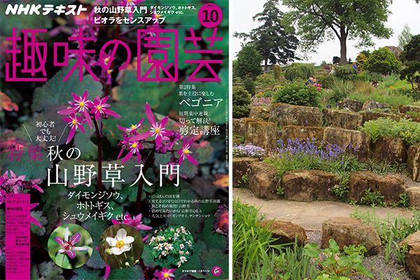 山野草栽培のヒントは英国植物園にあり！？ 久志博信さんに山野草について聞いてみた！＜後編＞趣味の園芸10月号こぼれ話