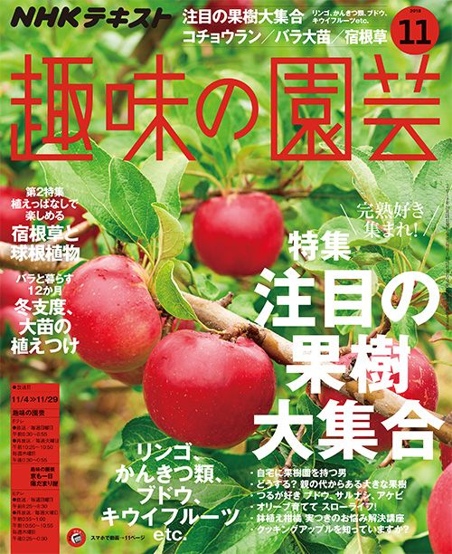 注目の果樹大集合！/オリーブ/チューリップ/コチョウランほか『趣味の園芸』11月号