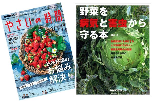 『やさいの時間』アンケート～「病害虫対策＆農薬」について教えてください《5名様に書籍プレゼント！》