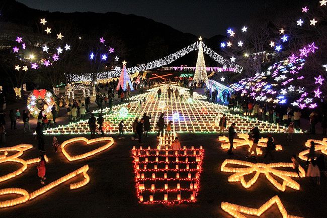 土日限定イルミネーションイベント！広島市植物公園「花と光のページェント」11月24日～12月23日