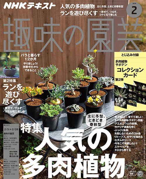 人気の多肉植物/リトープスの水やり/エケベリアをタネから/ランを遊び尽くす/バラと暮らす12か月 ほか『趣味の園芸』2月号