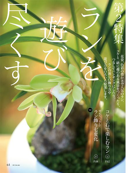 ランを遊び尽くす～好評発売中『趣味の園芸』2月号の第2特集