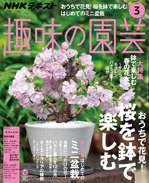 『趣味の園芸』3月号の内容紹介～鉢で楽しむ春の花木/おうちで花見！/はじめてのミニ盆栽/交配テクニック ほか